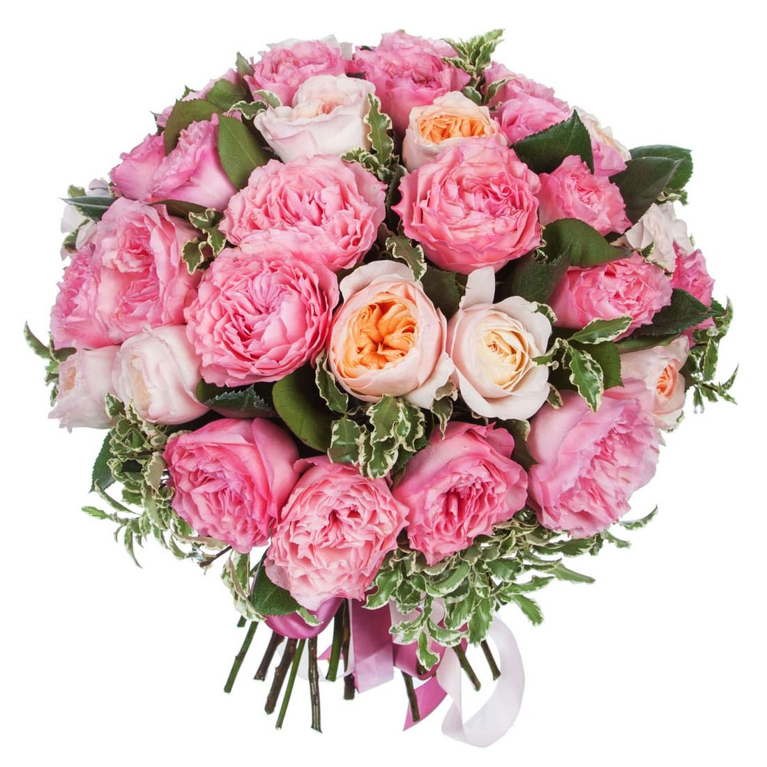 Розы Пионовидные Микс 2 Розы Пионовидные Микс 2